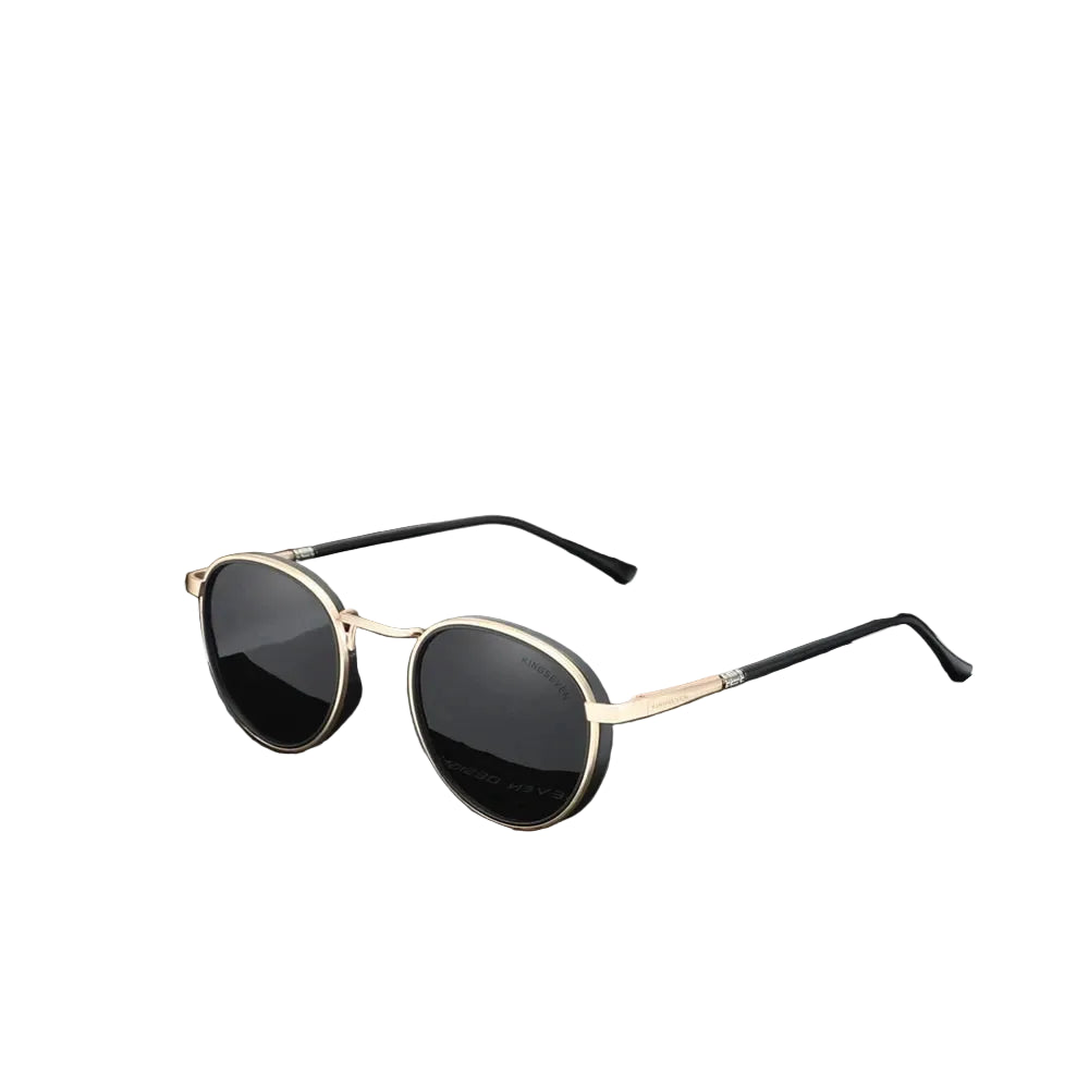 Óculos de Sol Hamilton Proteção uv400 Vieira Outlet Brasil